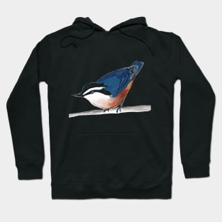 Red-breasted Nuthatch Hoodie